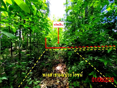 ที่ดิน ลำปาง : ที่ดินว่างเปล่า 225 ตร.วา เถิน ลำปาง 199,000