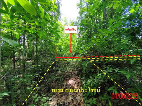 ที่ดินว่างเปล่า 225 ตร.วา เถิน ลำปาง 199,000