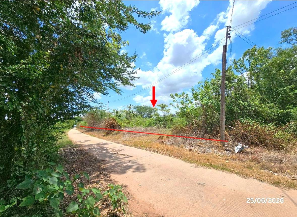 picture LAND 6391.3 Sq.w. Tron Uttaradit for 9.5M - 10/21