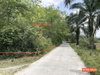 listing thumbnail image 32