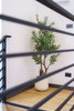 listing thumbnail image 35