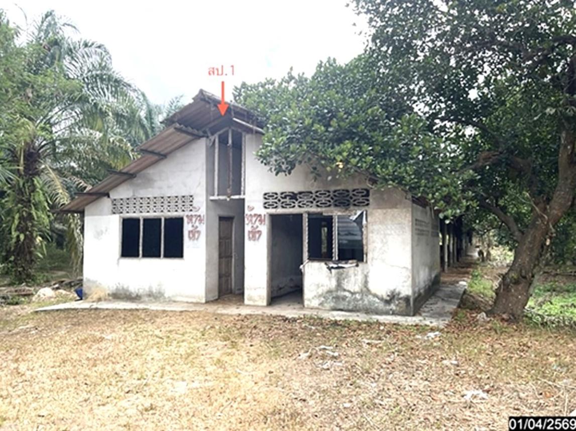 picture LAND 1709.6 Sq.w. Pa Bon Phatthalung for 2.5M - 13/25