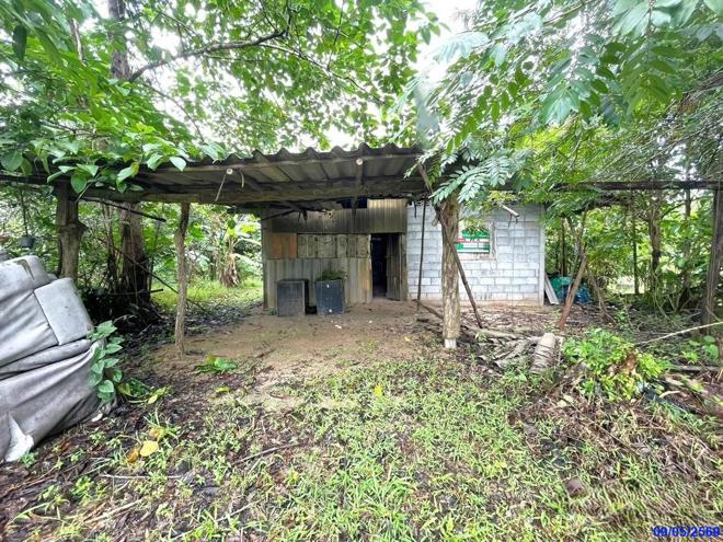 picture HOME 170 Sq.w. Muang Phatthalung Phatthalung for 1.1M - 1/29