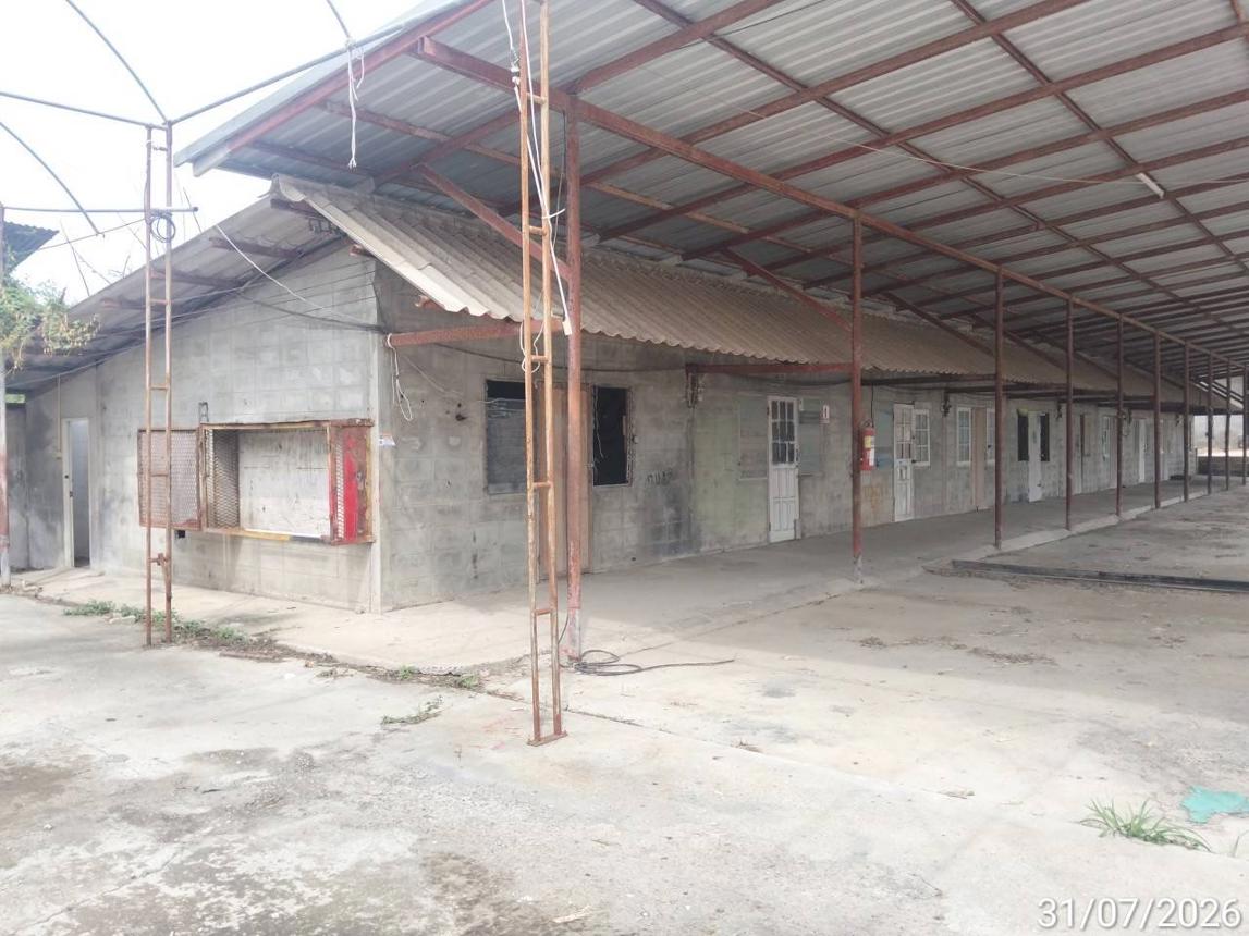 picture FACTORY 4553 Sq.w. Pak Chong Nakhon Ratchasima for 84.4M - 22/37