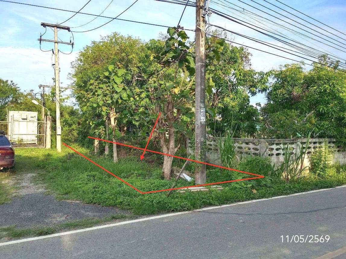 picture LAND 5168 Sq.w. Phan Chiang Rai for 2.4M - 9/17