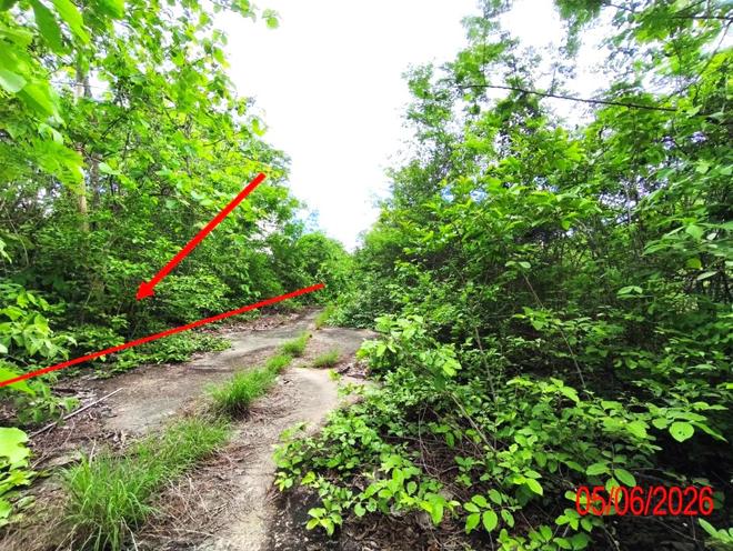รูป ที่ดินว่างเปล่า 903 ตร.วา บ้านสวนเชิงดอยรีสอร์ท เมืองลำพูน ลำพูน 1.6M - รูปที่ 2/21