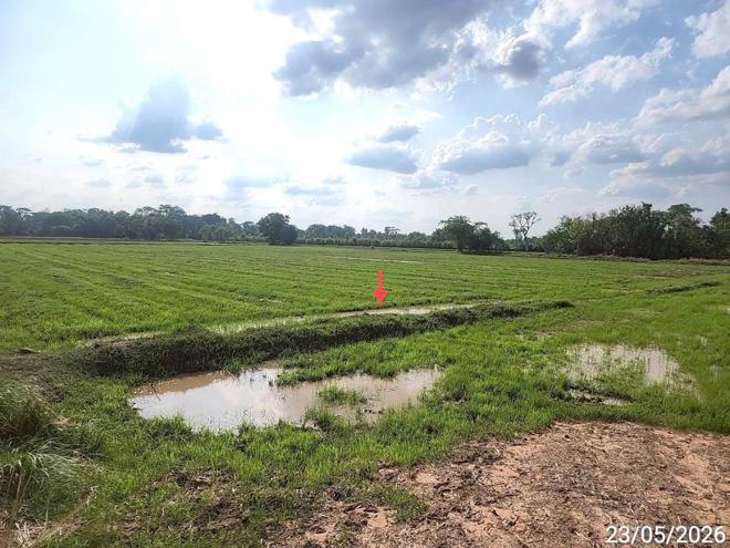 picture LAND 2647 Sq.w. Phayakkhaphum Phisai Maha Sarakham for 929,000 - 10/23