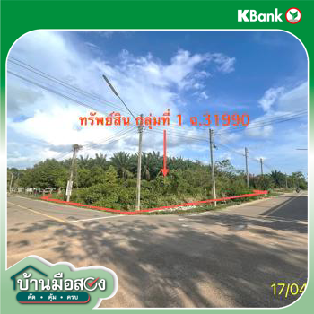 รูป ที่ดินว่างเปล่า 564.2 ตร.วา ปะเหลียน ตรัง 5.9M - รูปที่ 29/31