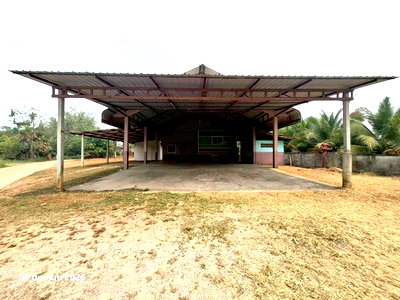Factory for sale Mae Chan Chiang Rai : FACTORY 347.1 Sq.w. Mae Chan Chiang Rai for 1.6M
