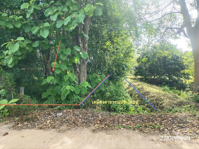 รูป ที่ดินว่างเปล่า 1070 ตร.วา ภูซาง พะเยา 2M - รูปที่ 5/23