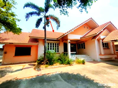 Houses for sale Khok Samrong Lopburi : HOME 205 Sq.w. Khok Samrong Lopburi for 1.6M
