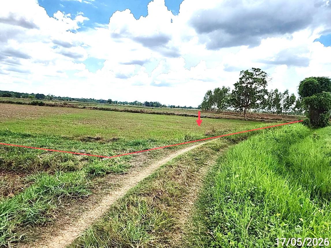 picture LAND 1522.1 Sq.w. Kosum Phisai Maha Sarakham for 419,000 - 13/25