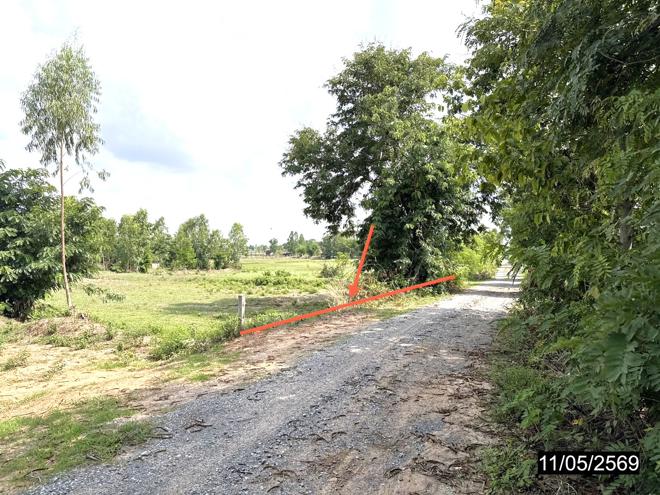 picture LAND 2621.3 Sq.w. Phon Khon Kaen for 1.2M - 4/17
