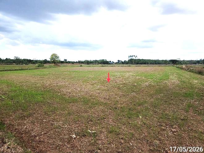 picture LAND 1522.1 Sq.w. Kosum Phisai Maha Sarakham for 419,000 - 9/25