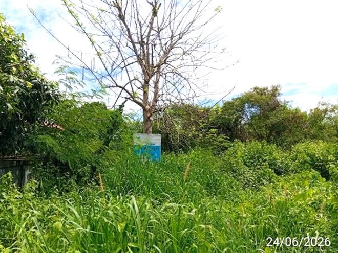 รูป ที่ดินว่างเปล่า 801 ตร.วา ศรีบุญเรือง หนองบัวลำภู 1.6M - รูปที่ 6/21