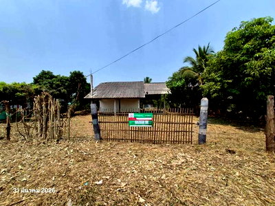 Houses for sale Chiang Mai : HOME 992 Sq.w. Chom Thong Chiang Mai for 3M