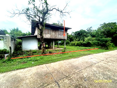 ขายบ้านเดี่ยว : บ้านเดี่ยว 322 ตร.วา พนา อำนาจเจริญ 815,000
