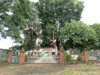 listing thumbnail image 45