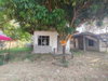 listing thumbnail image 29