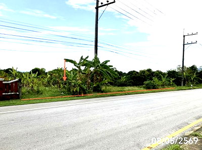 ที่ดิน เชียงราย : ที่ดินว่างเปล่า 293.3 ตร.วา ขุนตาล เชียงราย 2.3M