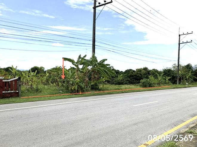 รูป ที่ดินว่างเปล่า 293.3 ตร.วา ขุนตาล เชียงราย 2.3M - รูปที่ 1/15