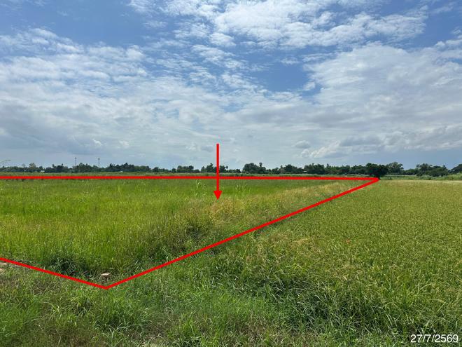 picture LAND 2520 Sq.w. Wang Thong Phitsanulok for 1.4M - 5/19