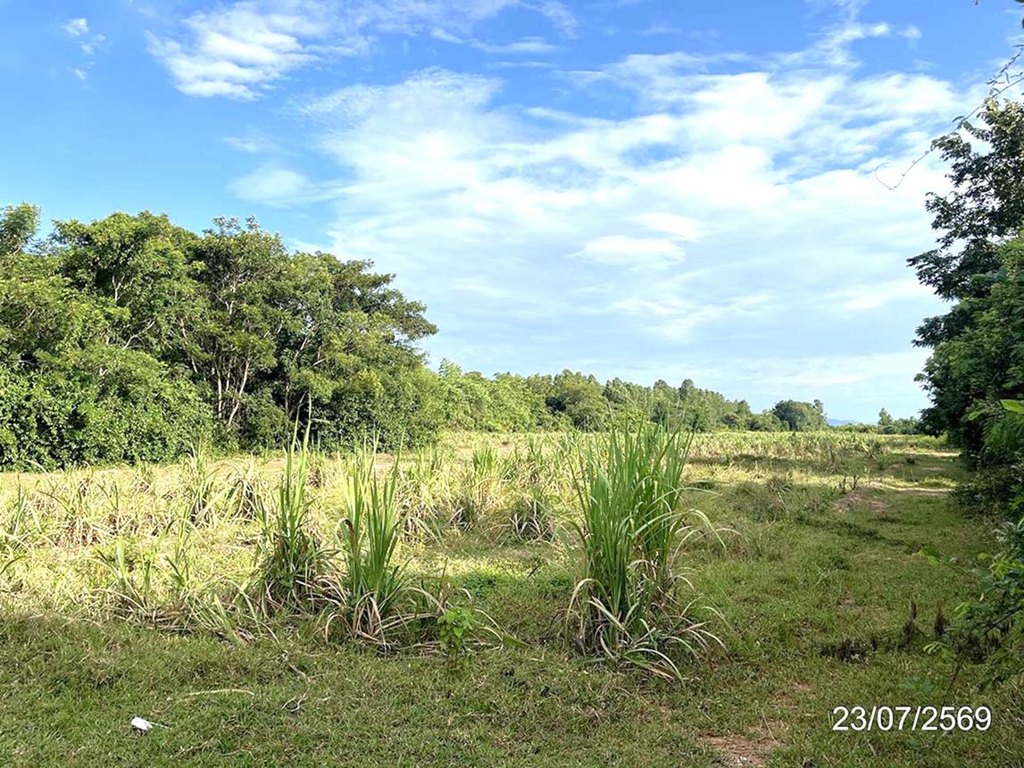 รูป ที่ดินว่างเปล่า 9873.8 ตร.วา อรัญประเทศ สระแก้ว 3.3M - รูปที่ 13/17
