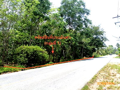 ที่ดิน นครศรีธรรมราช : ที่ดินว่างเปล่า 6005.3 ตร.วา ทุ่งสง นครศรีธรรมราช 4.4M