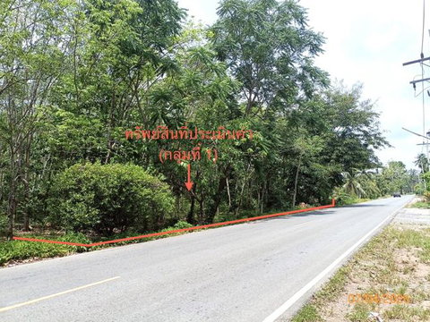 ที่ดินว่างเปล่า 6005.3 ตร.วา ทุ่งสง นครศรีธรรมราช 4.4M