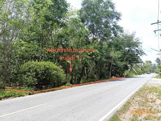 picture LAND 6005.3 Sq.w. Thung Song Nakhon Sri Thammarat for 6.3M - 1/25