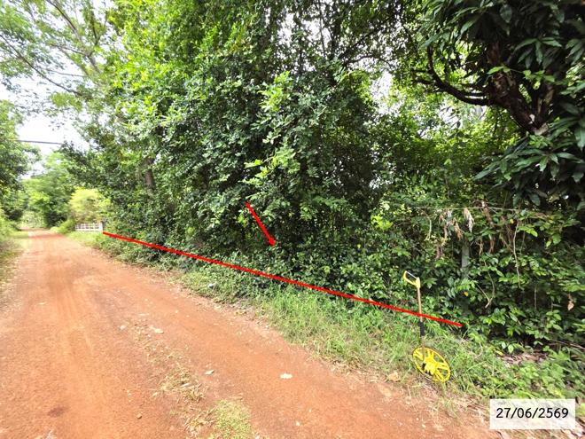 picture LAND 200 Sq.w. Phang Khon Sakon Nakhon for 512,000 - 2/25