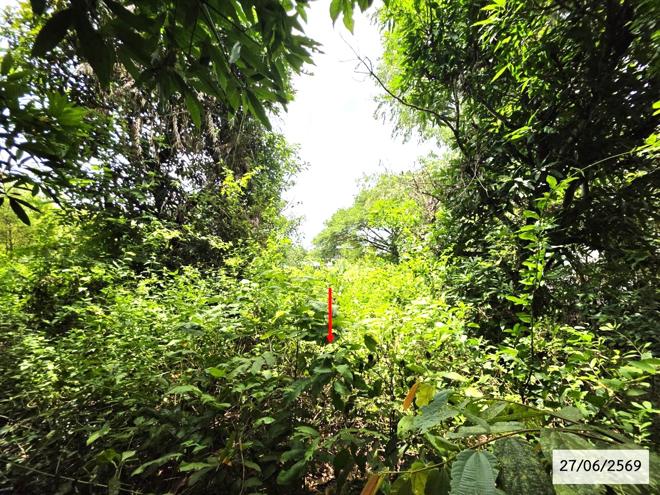 picture LAND 200 Sq.w. Phang Khon Sakon Nakhon for 512,000 - 9/25