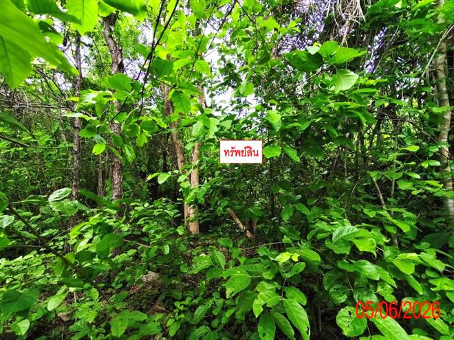 รูป ที่ดินว่างเปล่า 903 ตร.วา บ้านสวนเชิงดอยรีสอร์ท เมืองลำพูน ลำพูน 1.6M - รูปที่ 4/21