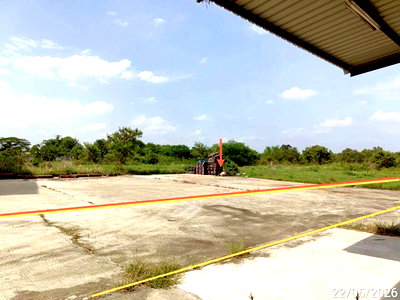 ขายที่ดิน : ที่ดินว่างเปล่า 1355 ตร.วา เชียงยืน มหาสารคาม 5.5M