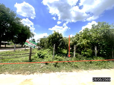 ที่ดิน กาฬสินธุ์ : ที่ดินว่างเปล่า 188 ตร.วา หนองกุงศรี กาฬสินธุ์ 472,000