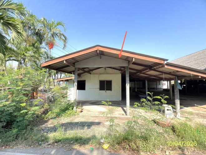 รูป บ้านเดี่ยว 289.7 ตร.วา ปากท่อ ราชบุรี 2.5M - รูปที่ 16/55