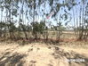 listing thumbnail image 19