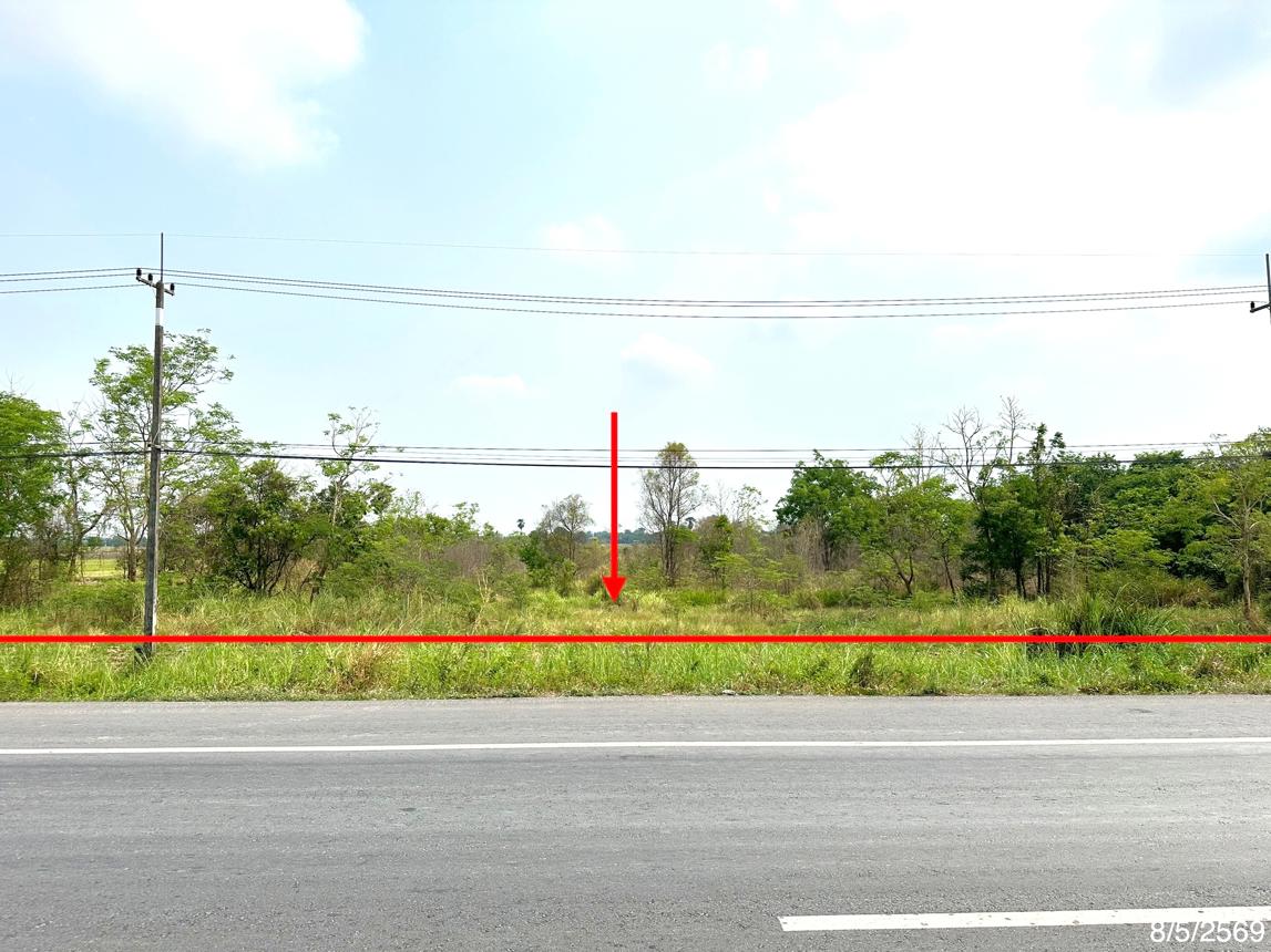 picture LAND 5639 Sq.w. Muang Phitsanulok Phitsanulok for 56.9M - 8/17