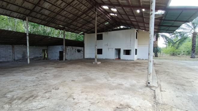picture FACTORY 1620.3 Sq.w. Huai Yot Trang for 4.8M - 6/35
