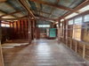 listing thumbnail image 23