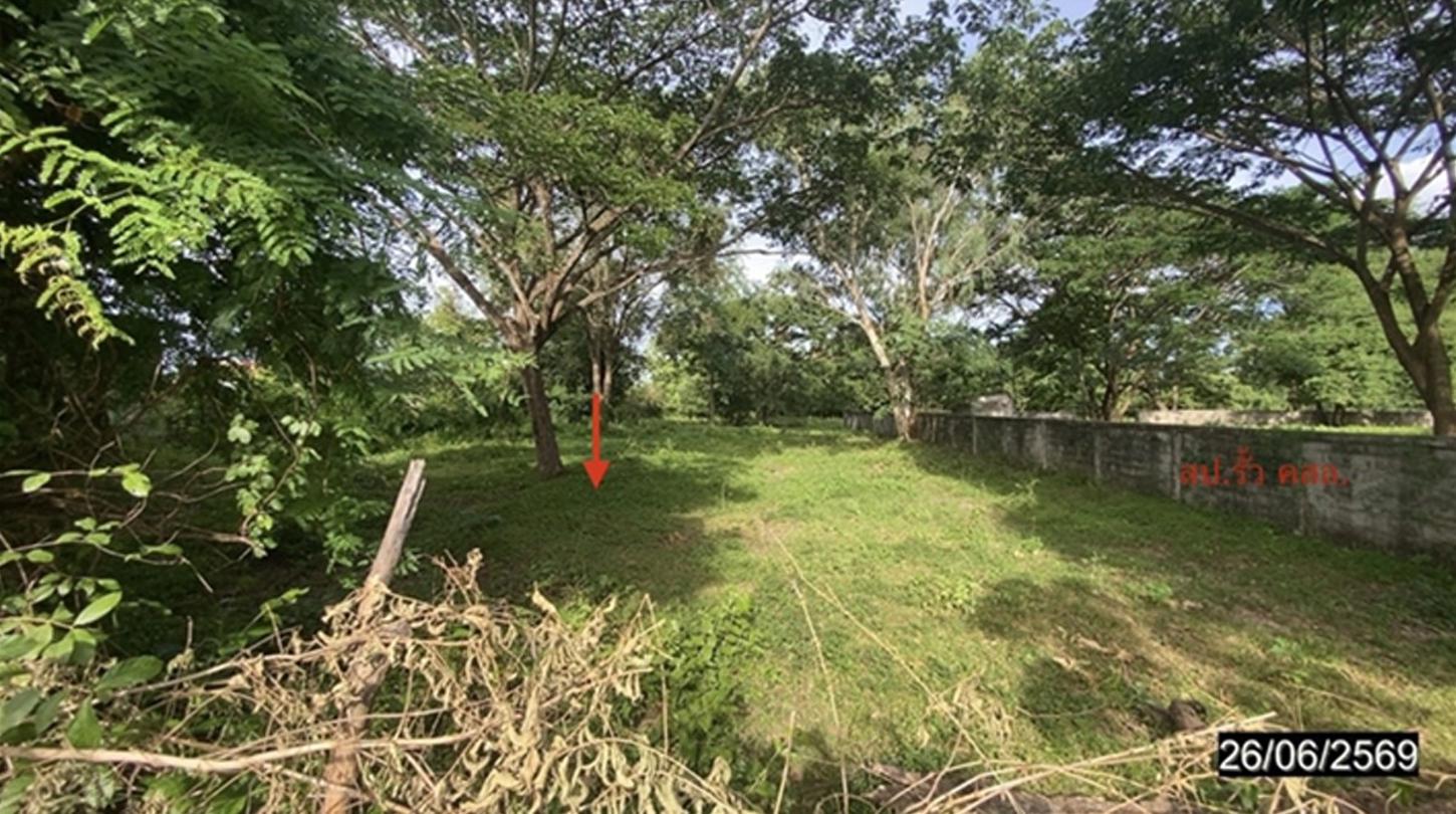 picture LAND 1867 Sq.w. Si Bun Ruang Nong Bua Lam Phu for 3.6M - 8/15