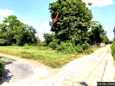 ขายที่ดิน : ที่ดินว่างเปล่า 600 ตร.วา เมืองบึงกาฬ บึงกาฬ 6M