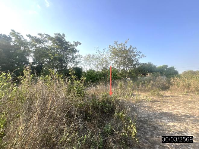 picture LAND 1601.4 Sq.w. Warin Chamrap Ubon Ratchathani for 5.3M - 9/21