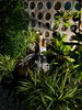 listing thumbnail image 42