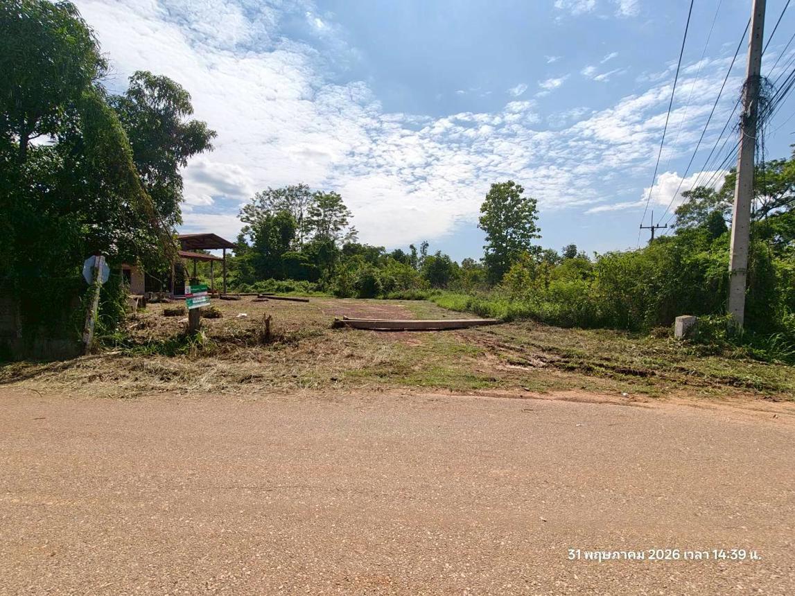 รูป บ้านเดี่ยว 5520 ตร.วา ชานุมาน อำนาจเจริญ 10.2M - รูปที่ 50/55