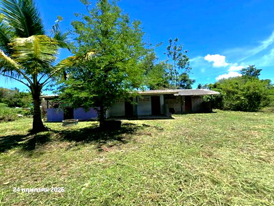 Houses for sale Kamphaeng Phet : HOME 155 Sq.w. Phran Kratai Kamphaeng Phet for 779,000
