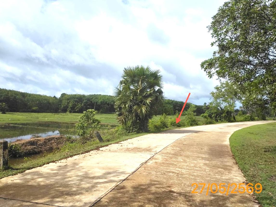 รูป ที่ดินว่างเปล่า 463 ตร.วา เกาะยาว พังงา 2M - รูปที่ 10/15