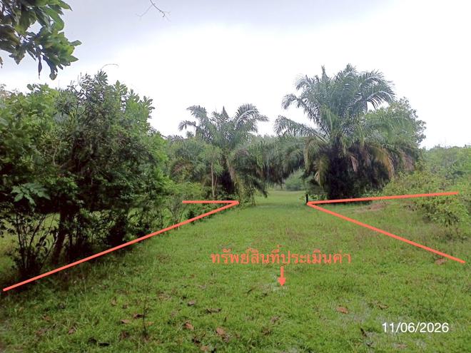 picture LAND 1463.3 Sq.w. Palian Trang for 2.9M - 5/21