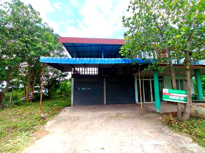 ขายบ้านเดี่ยว : บ้านเดี่ยว 200 ตร.วา นาวัง หนองบัวลำภู 1.3M