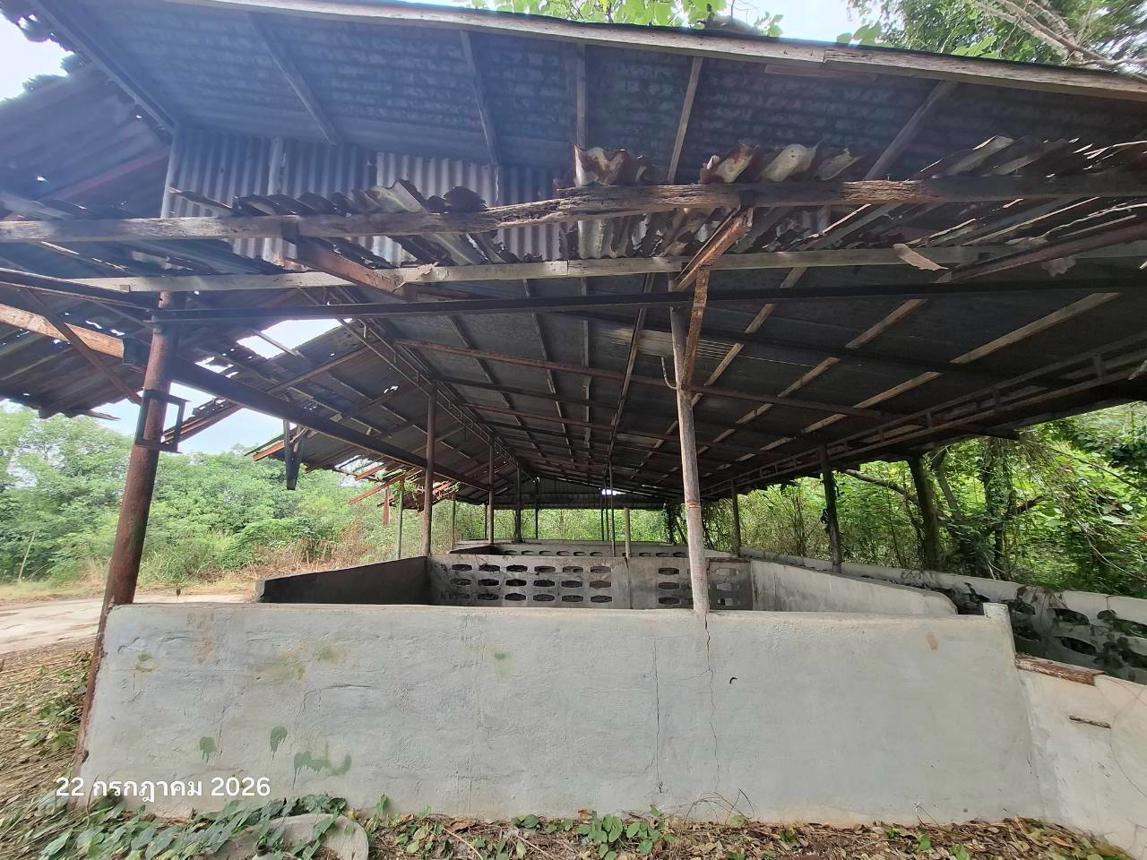 รูป ฟาร์ม 27277 ตร.วา พระพุทธบาท สระบุรี 21.1M - รูปที่ 23/37